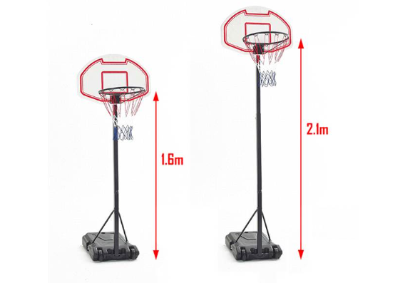 Chiều cao rổ bóng rổ cao bao nhiêu dựa vào điều gì ?